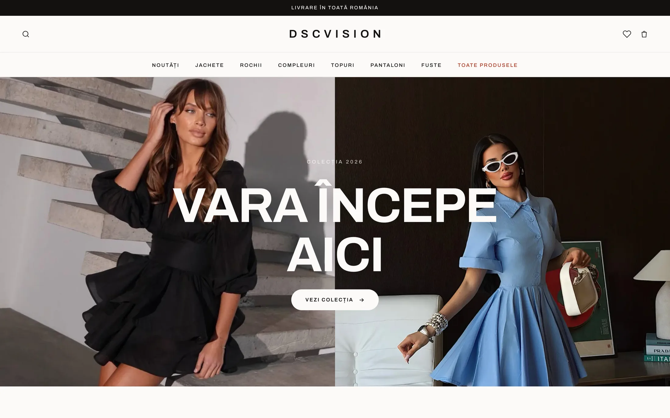 dscvision